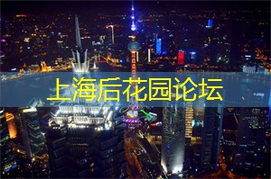 遇见电影之都：八个上海电影节目单，等你一同观赏