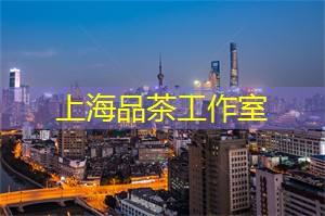 上海这个城市怎么样