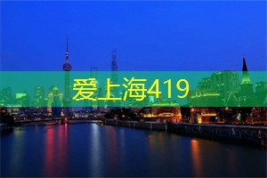 深入了解上海：八个令人惊叹的博物馆，开启知识之旅